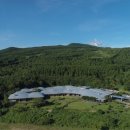 제주포도 이미지