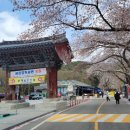 금당사 화장실 이미지