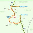 대전둘레산길(9구간) 이미지