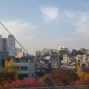 디스코팡야 이미지