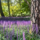 금오산로 이미지