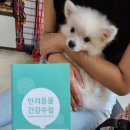 신림종합동물병원 이미지