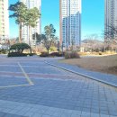 C풀하우스 이미지