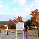 아리랑열차 연계형 시티투어2 | 정선 아리랑 열차 시티투어버스 연계 당일치기 가을 여행(정선5일장, 레일바이크, 나전역)