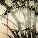 일정로1(남) 이미지