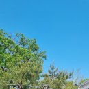 방장산민박 이미지