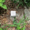 수리봉목장 이미지