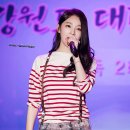 대관령야외공연장 이미지