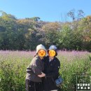 힐링탑 요양병원 이미지
