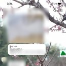 올리브영울산남목점