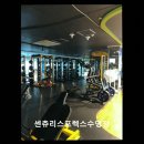 주식회사 센츄리 스포렉스 | 부산 남구 수영장 추천 센츄리스포렉스수영장 깔끔한 시설과 합리적 가격