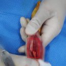 하남동물병원 이미지