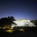 노을 빛에 물든 일상으로의 초대 | 2026 창경궁 야간개장 후기/서울 한복판에서 만난 가장 고요한 여름밤