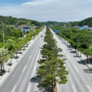 가로수길 이미지