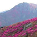 2012 이미지