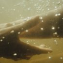 레나와독일어 | schauen, Sound of Falling, 2025) 영화 정보, 시사회 후기ː규정된 삶으로의 추락, 저항하는 삶의 부유