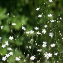 마음의 양식 이미지