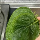 연호농산