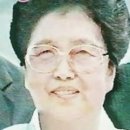 김성애