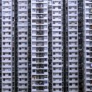 Why we need to bring nature back into cities 이미지