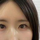 바이진 | 동아대부민캠 속눈썹연장 잘하는 곳 바이진 솔직후기