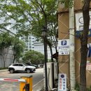 필 골프아카데미 | [성수 스크린 골프] 성수 저렴한 스크린 골프 레슨 추천