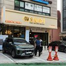 오월돼지 이미지