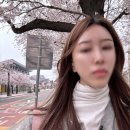 병산길, 전서로(풍천면) | 23만 원으로 다녀온 안동 1박 2일 여행 l 벚꽃 피크 &amp; 꿀동선 완전 정리