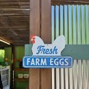 원주농장 이미지