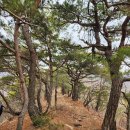 은행나무숲 주차장 부근 이미지