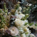 (주)디자인안채 이미지