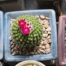 예운농장 이미지