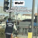 Korea has a waffle university?! 이미지