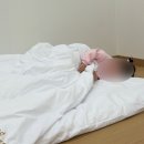 그안 | 전북 가족여행 추천 정읍 내장산자연휴양림 숲속의집 4호 숙박 후기