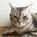 눈빛안경원 이미지