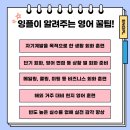 잉플어학원