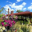 성인용품소매점 이미지