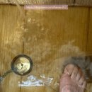 아름목장 | 허브동산-제주민속촌-표선해수욕장-석예원 본초족욕 성산- 제주투어패스 48시간 타임 제로 알찬 이용 후기