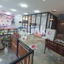 예쁜강아지 앙슈 이미지