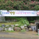 남사-8 이미지
