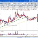 원양물산 Daum카페