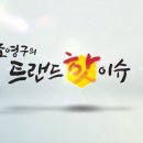 포레스트 빌리지 이미지