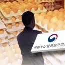 이정택농장 네이버블로그