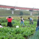 동암농장 이미지