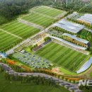 보령스포츠파크 이미지