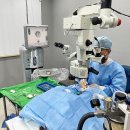 두암동물병원 이미지