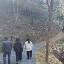 보은산 남도일보