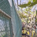 세인농장 이미지