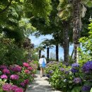 수국칼국수 이미지