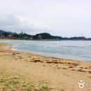문암2리해변 이미지